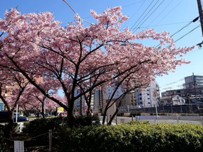 朝礼でのヒトコマ